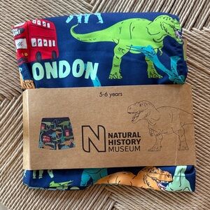 Dinosaur Print Kids Swim Shorts